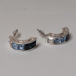 Multi Toned Blue Earrings